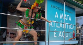 PINDORAMA – Terra das Palmeiras