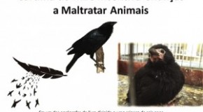 Tripoli pede revisão de cartilha do MEC que incentiva crianças a maltratar animais