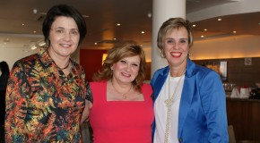 PSDB Mulher SP participa de balanço do Projeto Maria Linda de enfrentamento da violência contra a mulher