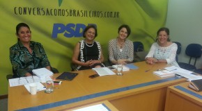 Diretoria do PSDB Mulher analisa programação anual