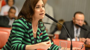 “Em defesa das Mulheres”, por Analice Fernandes