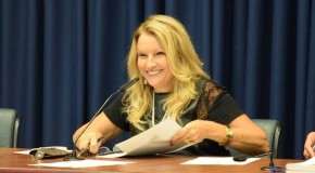 Maria Lúcia Amary na CCJ do parlamento paulista