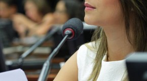 Parlamentares do PSDB terão audiência hoje sobre cortes do governo Dilma no orçamento da Educação