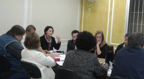 Presidente do PSDB Mulher SP defende fortalecimento das regionais na primeira reunião da Executiva Estadual