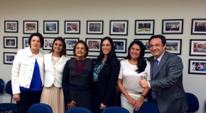 Presidente do PSDB Mulher SP na primeira reunião como integrante da Executiva Nacional do partido