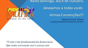 Convenções municipais PSDB mulher