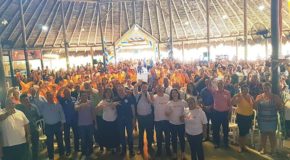 Encontros marcam final de semana de tucanos em SP