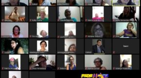 Reunião das Conselheiras Estaduais do PSDB Mulher
